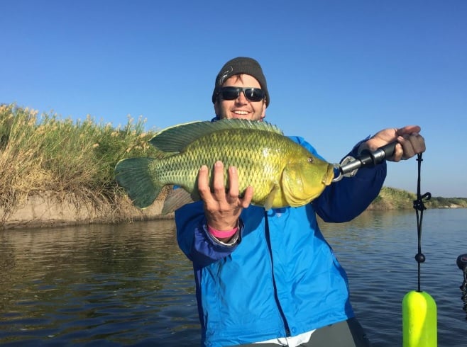 5 Day Tiger Fishing Package at Kubu And Kwena Lodge
